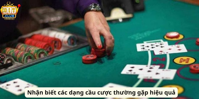 Nhận biết các dạng cầu cược thường gặp hiệu quả