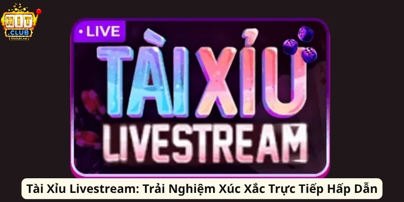 Tài Xỉu Livestream: Trải Nghiệm Xúc Xắc Trực Tiếp Hấp Dẫn Tài Xỉu Livestream: Trải Nghiệm Xúc Xắc Trực Tiếp Hấp Dẫn